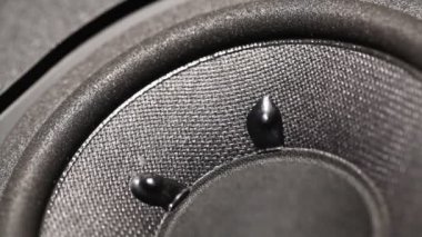 Audio woofer